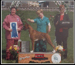 Collen BOB - Group 1